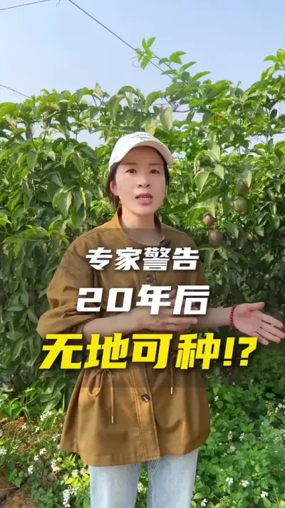 想用有机肥又怕价格不好赔个精光，这种矛盾的心里谁懂啊？#农业种植#三农#百香果