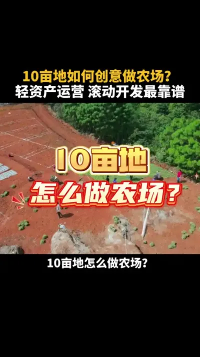 10亩地如何创意做农场？轻资产运营滚动开发最靠谱 #乡村振兴 #农场 #小院 #2025新农人计划  #乡村振兴dou行动