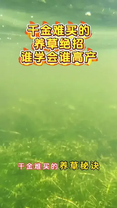 千金难买的养草绝招，谁学会谁高产。#河蟹养殖 #大闸蟹养殖 #螃蟹养殖 #鱼虾蟹养殖 #三农 @DOU+小助手