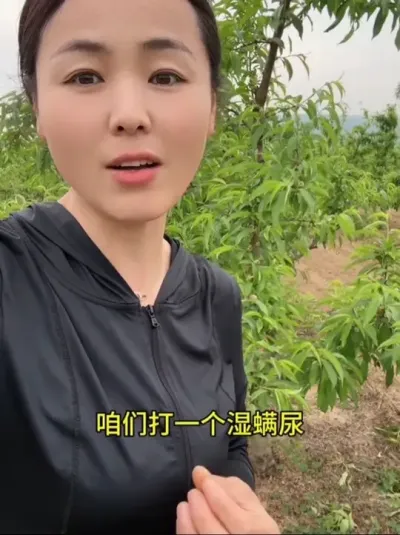 桃树花后第二遍俺家打三天了#传播农业小知识 #分享农业知识帮农民增产增收 #农业植保知识分享 #果树管理技术