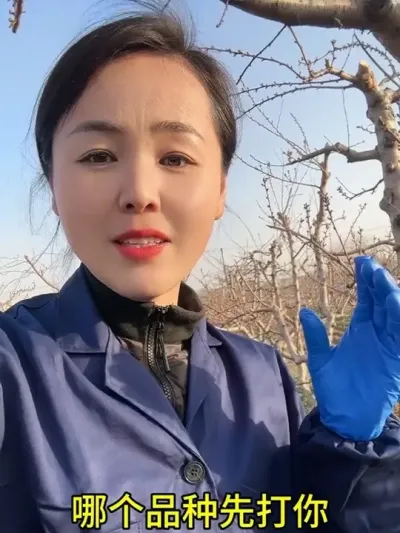 桃树花前防治 #果树管理技术 #分享农业知识帮农民增产增收 #农业植保知识分享 #自家果园 #病虫害防治