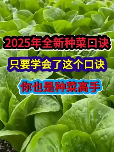 2025年全新种菜口诀只要学会了你也是种菜高手 #蔬菜种植 #蔬菜种植口诀 #农业种植 #三农 #分享农业知识帮农民增产增收