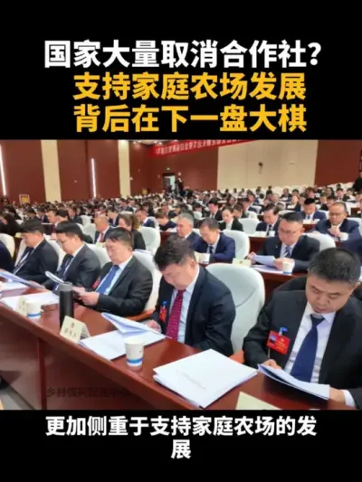 大量取消合作社？支持家庭农场，背后下一盘大棋 #乡村振兴 #家庭农场 #合作社 #乡村产业 #补贴
