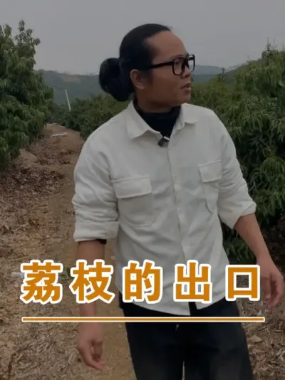 能种荔枝的国家和关于荔枝出口的问题#广西灵山荔枝果苗#农业创业#抖音新农人计划2025#吕老师种果苗