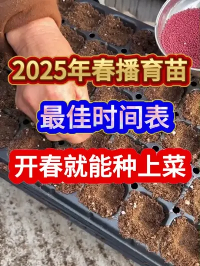 2025年春播育苗最佳时间表开春就能种上菜 #蔬菜种植 #蔬菜种植时间表 #农业种植 #种植小技巧 #种菜