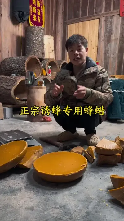 诱蜂就用中蜂老巢脾蜂蜡#诱蜂 #蜂蜡 #养蜂 @抖音小助手