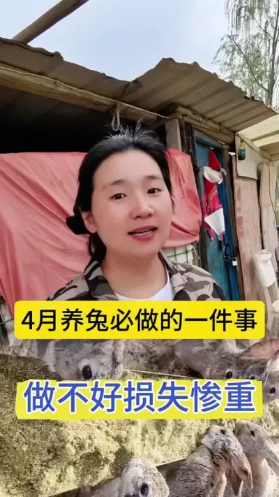 4月养兔必做的一件事，做不对损失惨重#养兔人 #科学养兔 #兔子 #散养兔 #兔