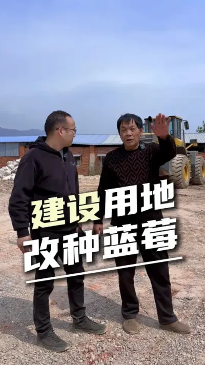 房地产老板也不建房子了，改种蓝莓了#蓝莓种植 #农业种植 #水肥一体化设计 #全自动水肥灌溉