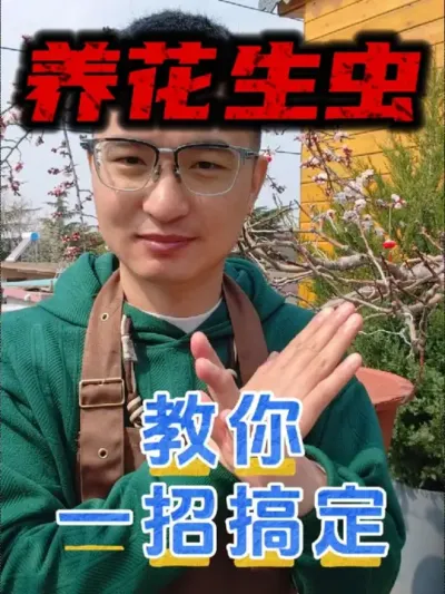 家里养花生虫太正常了，教你一招搞定！#养花 #养花生虫 #除虫