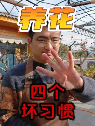 养花的四个坏习惯，看看你中了几个！ #养花  #花卉绿植  #养花小知识
