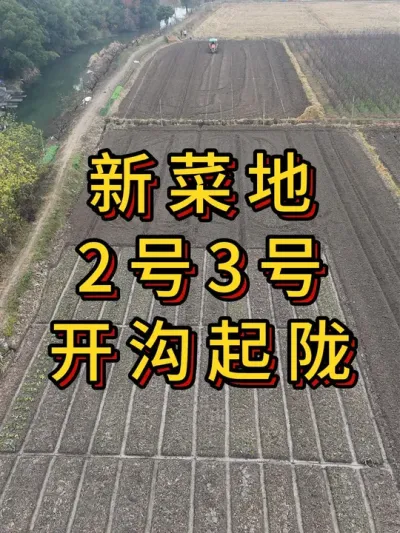 新菜地改造第13集，开沟起垄做好排水 #农业种植 #三农 #种植 #园艺