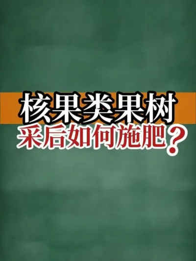 核果类果树采后如何施肥？ #核果 #采后管理 #施肥 #大小年 #新农人计划2025