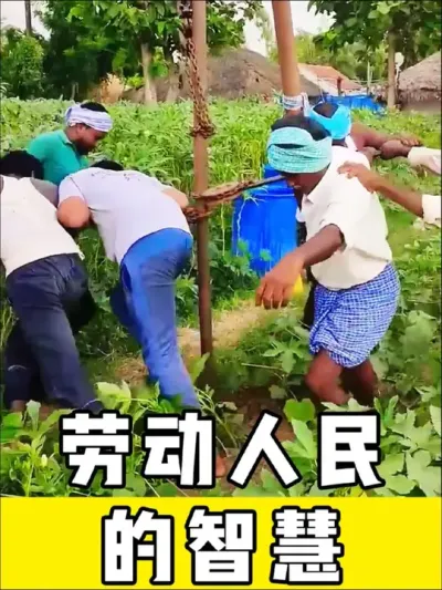 劳动人民的智慧，太有才了#劳动人民的智慧 #三农 #施工 #神操作 #生活小妙招