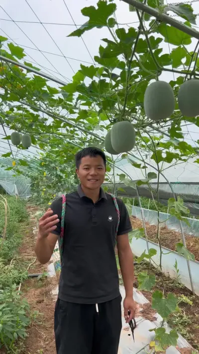 和我做朋友，你会有吃不完的蔬菜#我的乡村生活 #农业种植