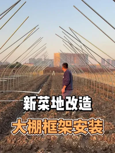 新菜地改造15集，大棚骨架安装 #农业种植 #三农 #种植 #种菜