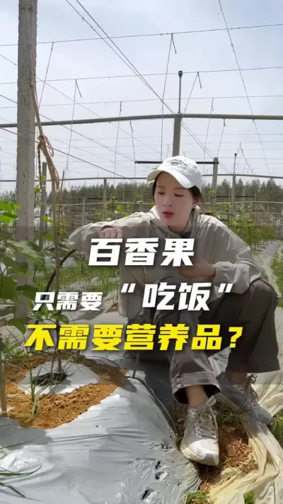 肥肥肥！百香果有什么问题都是肥，你真的会用肥？#百香果 #种百香果 #农业种植 #种植小技巧 #三农