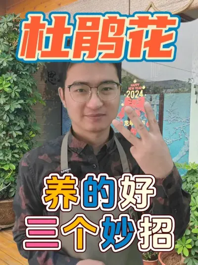 杜鹃花想要养的好，这三个小妙招一定要知道！ #养花  #花卉绿植  #杜鹃花