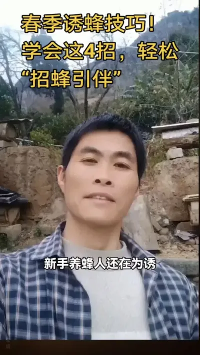 #内容启发搜索 #谌蜜 #诱蜂，#养蜂技术分享 ，春季诱蜂技巧！学会这4招，轻松&ldquo;招蜂引伴&rdquo;@抖音小助手 @DOU+小助手