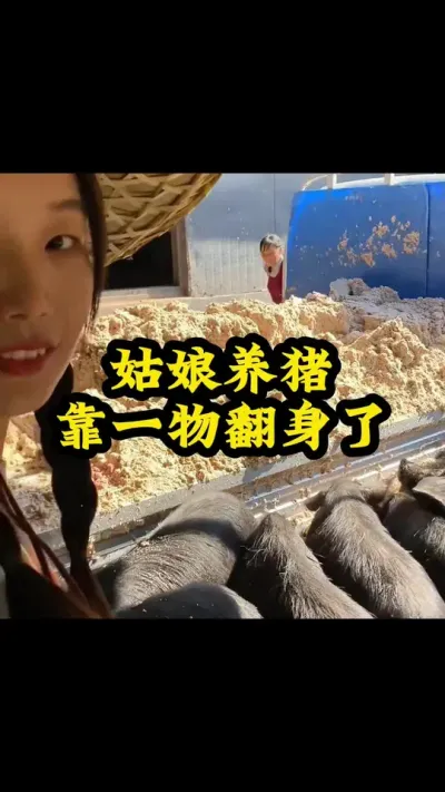 #服务三农支持三农 #养猪小妙招 #农村养猪专业户 #所有养猪人 #养猪人加油干