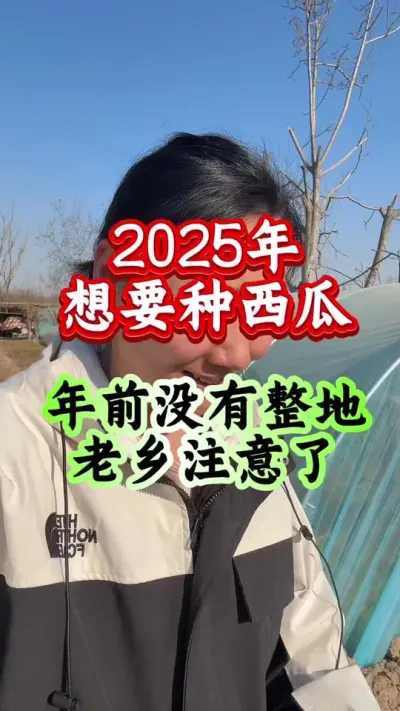 西瓜种植 2025年种西瓜年前没有整地老乡注意了#西瓜种植 #西瓜管理 #增产增收 #土壤改良