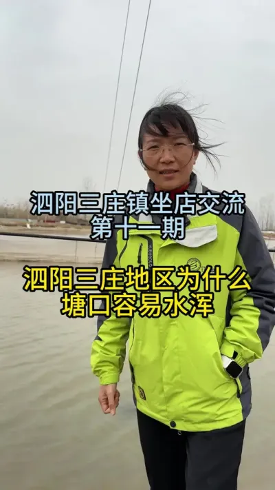 泗阳三庄地区螃蟹塘口为什么容易水浑！！！！ #渔多多养殖模式 #大闸蟹养殖 #三农 #水产养殖 #河蟹养殖