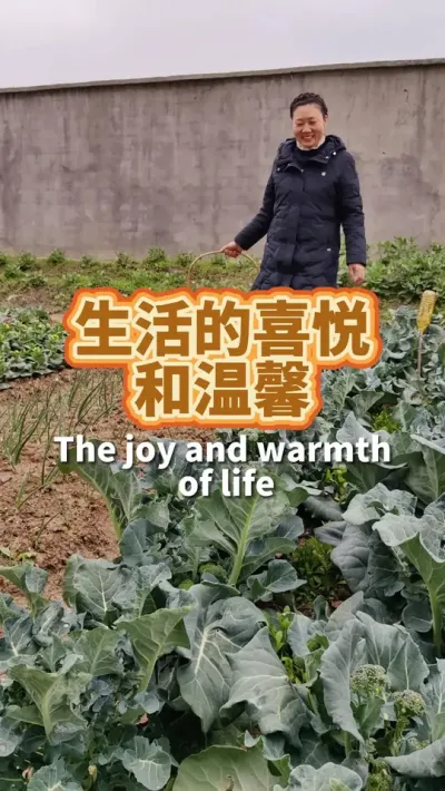 生活的喜悦和温馨是菜园给的 早春我就收获满满一筐西兰花苔#西兰花 #我的小菜园 #田园生活 #在家种菜 #我爱种菜