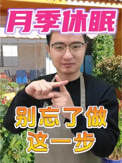 月季休眠，别忘了做这件事! #养花 #月季 #冬肥