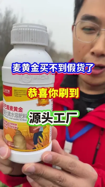 麦黄金再也买不到假货了，恭喜您刷到了 源头工厂！#小麦种植  #小麦高产  #小麦叶面肥 #小麦种植管理技术