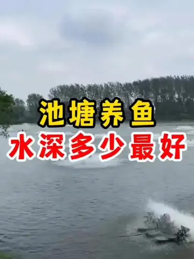 池塘水深多少养鱼最好 #养殖 #养鱼 #农村 #水产养殖 #四大家鱼养殖