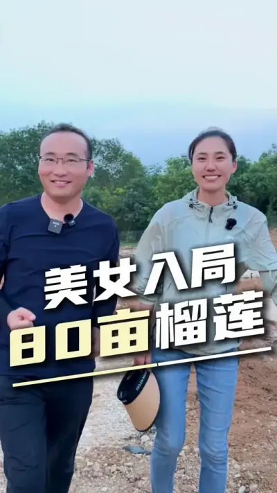 今天美女主播不开播，带大家看看她在云南的80亩榴莲基地#云南种榴莲 #榴莲水肥灌溉 #全自动水肥设施 #设施农业