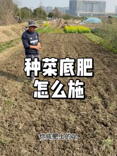 种菜前底肥怎么施，哪些肥料适合做底肥 #种植小技巧