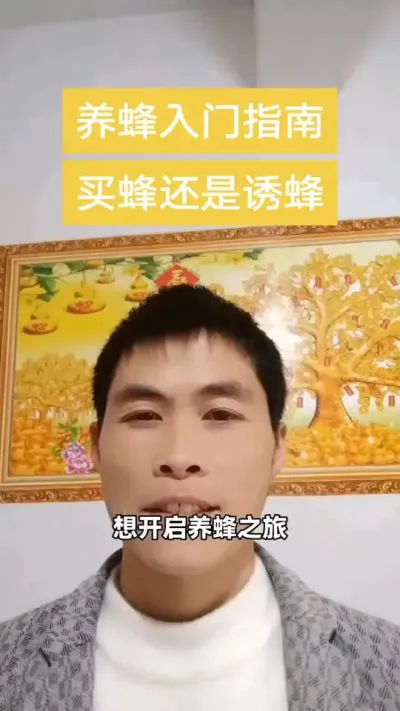 #谌蜜 #养蜂技术 #养蜂技术分享 #内容启发搜索 ，养蜂指南到底是买蜂还是诱蜂。@抖音小助手 @DOU+小助手