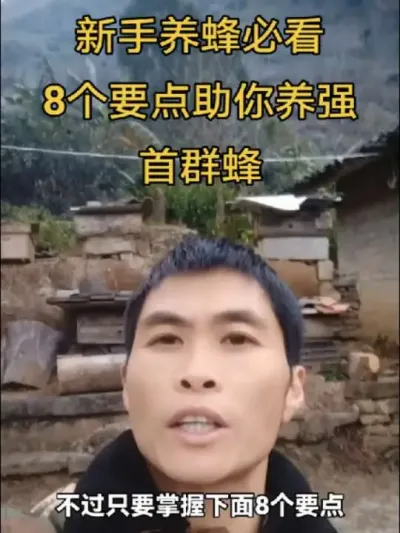 #内容启发搜索 #谌蜜 #养蜂技术 #养蜂技术分享 ，新手养蜂的朋友必看，8个要点助你养强首群蜜蜂，不知道肯定养不好蜜蜂。@抖音小助手 @DOU+小助手