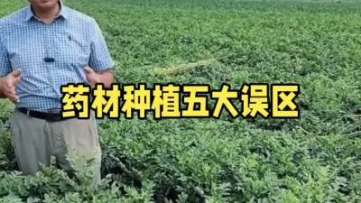 种植药材，一定要避开这五大误区，避开就能种植成功，收藏 #药材种植 #中草药知识 #避坑 #三农 #农业知识