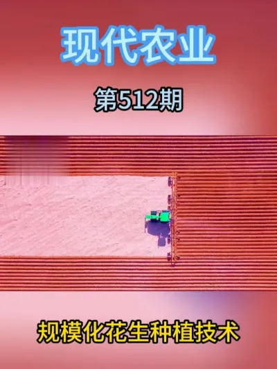 规模化花生种植技术 #农业种植 #服务三农支持三农 #抖音助农扶农 #三农 #种植