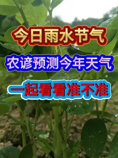 今日雨水节气农谚预测今年天气一起看看准不准 #服务三农支持三农 #农业种植 #传播农业小知识 #抖音助农 #雨水