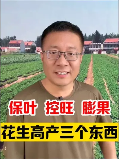 花生保叶控旺膨果，花生高产不能少的三样东西！  #花生种植管理技术 #花生种植 #花生高产 #花生管理 #花生膨大粒粒饱