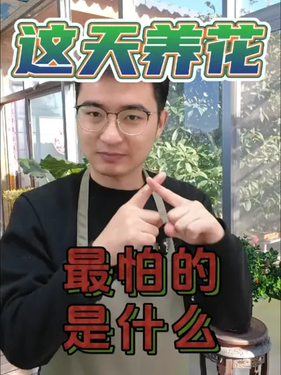 这天养花，最怕的是什么？ #养花 #花卉绿植 #生虫