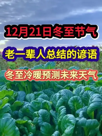 12月21日冬至节气老一辈人总结的谚语冬至冷暖预测未来天气 #冬至 #农业谚语 #农谚 #农业种植 #分享农业知识帮农民增产增收