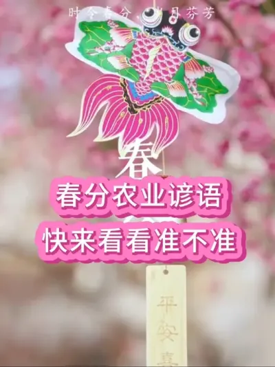 春分农业谚语 老祖宗留下来的春分农业谚语，快来看看准不准！#农业谚语 #春分 #春分谚语 #小麦种植 #小麦
