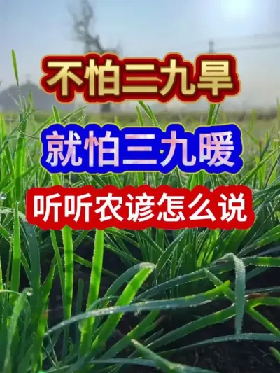 不怕二九旱就怕三九暖听听农谚怎么说 #三农流量扶持计划 #三农 #农业谚语 #农谚 #农业种植