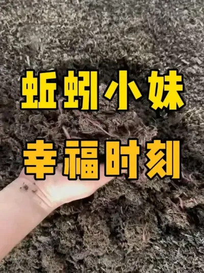养殖蚯蚓的幸福时刻#蚯蚓养殖 #三农 #农村创业