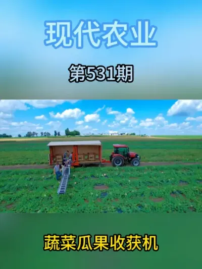 蔬菜瓜果收获机 #现代农业机械 #服务三农支持三农 #农业种植 #抖音助农 #春耕进行时