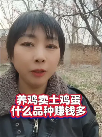 养鸡新手需注意，养什么品种土鸡效益高#养鸡技术 #土鸡品种#鸡品种#养鸡#科学养鸡