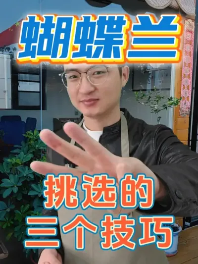 三个小技巧，让你买到好养易活还开花多的蝴蝶兰！ #养花  #花卉绿植  #蝴蝶兰