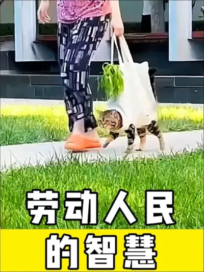劳动人民的智慧，高手在民间#劳动人民的智慧 #神操作 #干活我是认真的 #高手在民间 #实用小技巧