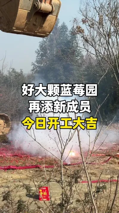 好大颗蓝莓又添新成员，今日开工大吉啦，各位精神股东们有福啦，这里好山好水好生态，一定能种出超好吃的蓝莓，养眼又氧眼，尽在好大颗！#乡村振兴 #蓝莓种植 #好大颗蓝莓