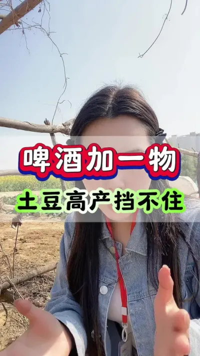啤酒加一物，土豆高产挡不住#马铃薯 #土豆种植 #洋芋 #栽洋芋 #土豆高产种植
