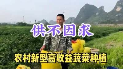 农村新型&ldquo;暴利&rdquo;蔬菜种植，一斤高达10元，10亩年赚20万 #三农 #农业种植致富项目 #抖音助农 #新农人计划 #乡村振兴dou行动