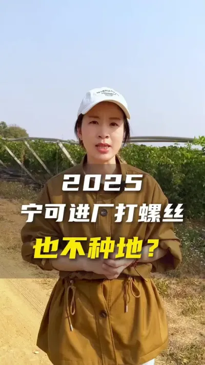 2025种地能否赚钱？入局前的你们一定要算好这批经济账！#农业种植#百香果 #三农